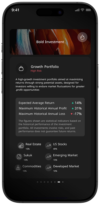 Portfolio Details - Aggressive