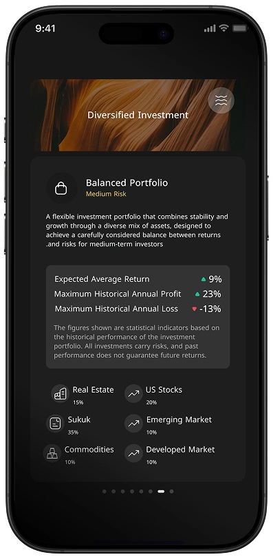 Portfolio Details - moderate